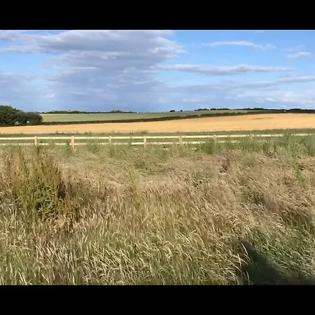 Summerfield * Γουίτμπι